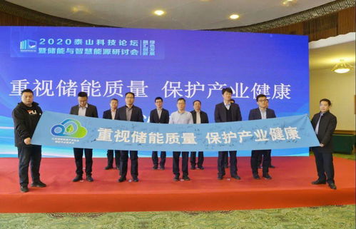 2020泰山科技論壇暨儲能與智慧能源研討會在濟南成功舉辦，推動能源科學技術研究發展